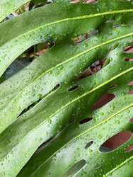 Similar image 22223202