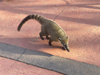 Similar image 22223204