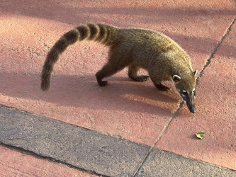 Similar image 22223205