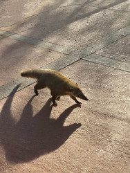 Similar image 22223206