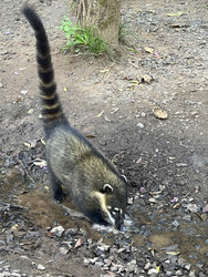 Similar image 22223207