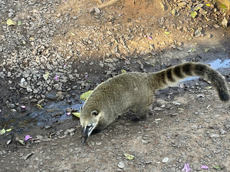 Similar image 22223208