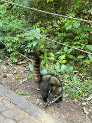 Similar image 22226760