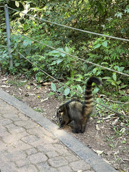 Similar image 22226761