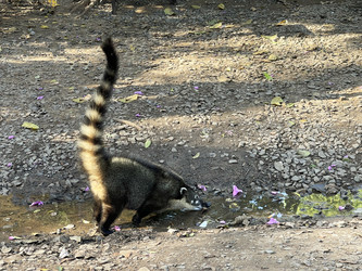 Similar image 22226762