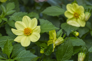 Similar image 22223967