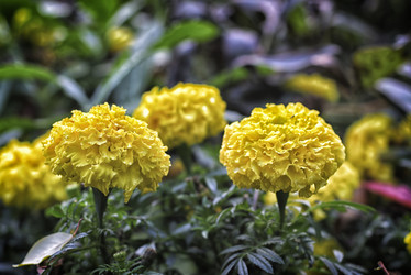 Similar image 22223975