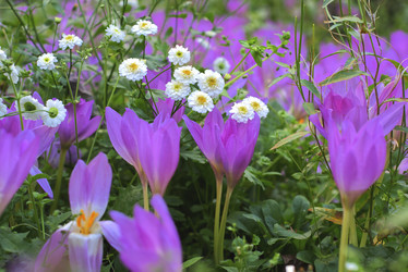 Similar image 22223976