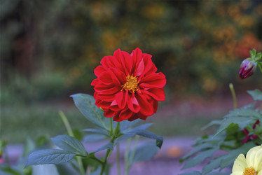 Similar image 22223977