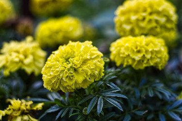 Similar image 22223981