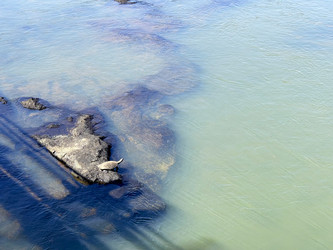 Similar image 22226810