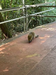 Similar image 22226818