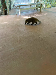 Similar image 22226819