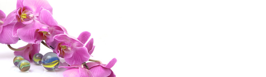 Similar image 22230209