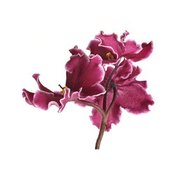 Similar image 22230210