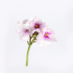 Similar image 22230211