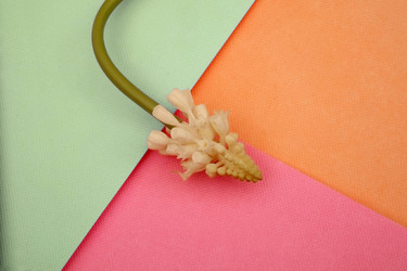 Similar image 22230215