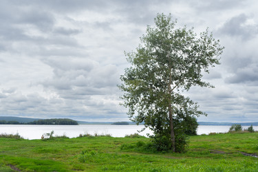 Similar image 22223987