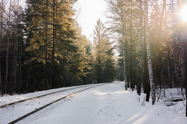 Similar image 22223989