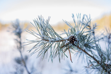 Similar image 22223991