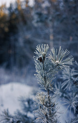 Similar image 22223992