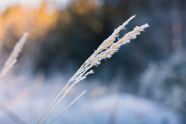 Similar image 22223993