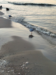 Similar image 22228218