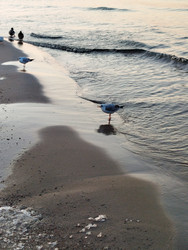 Similar image 22228219