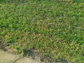 Similar image 22224106