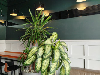 Similar image 22224108