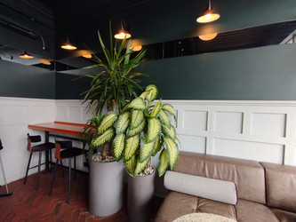 Similar image 22224109