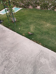 Similar image 22224112