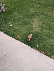 Similar image 22224113