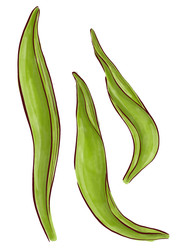 Similar image 22228629