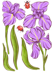 Similar image 22228637