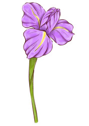 Similar image 22228638