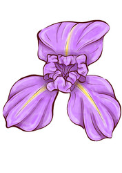 Similar image 22228639