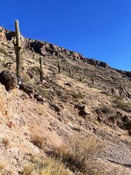 Similar image 22226880