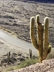 Similar image 22226881