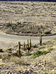 Similar image 22226882