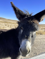 Similar image 22226889