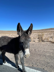 Similar image 22226890