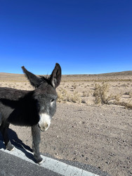 Similar image 22226891