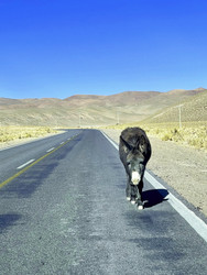 Similar image 22226892