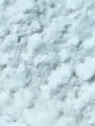 Similar image 22226900