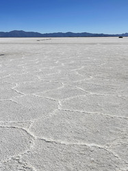 Similar image 22226901