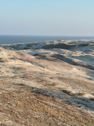 Similar image 22224124