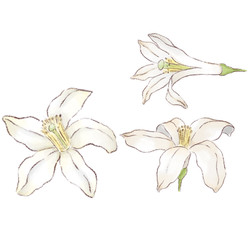 Similar image 22228436