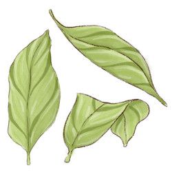 Similar image 22228437