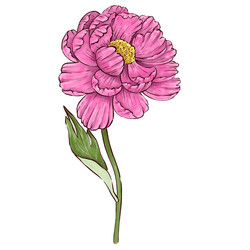 Similar image 22228648